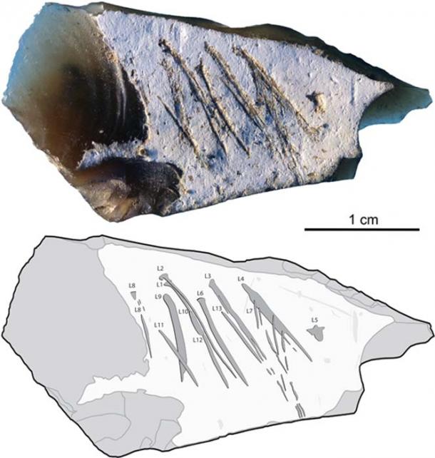Photo (top) and tracing (bottom) of engraved flint flake. Engraved lines are indicated by dark-grey areas outlined in black, surface damage by light gray areas, flake scars by gray lines.Image: Majkic et al (2018)/ (CC BY 4.0)