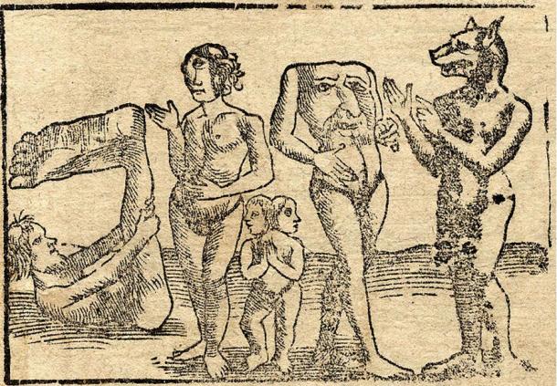 An engraving showing (from left to right) a monopod or sciapod, a female cyclops, conjoined twins, a blemmye, and a cynocephali, 1544