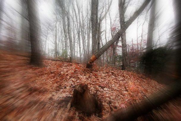 Although the Native Americans refused to enter the forest, legends say that Colonel Blair and his men built a fort in the forest of the Black Hills.