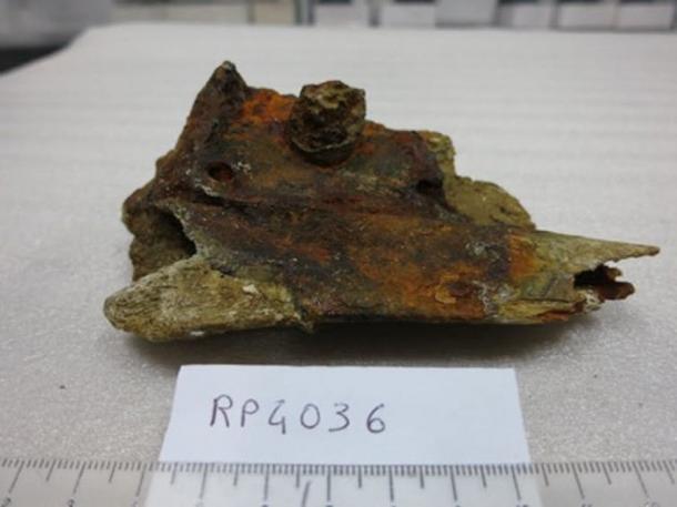 An example of a bone enclosed in a marine concretion, from Rapid (1811). (The Conversation)