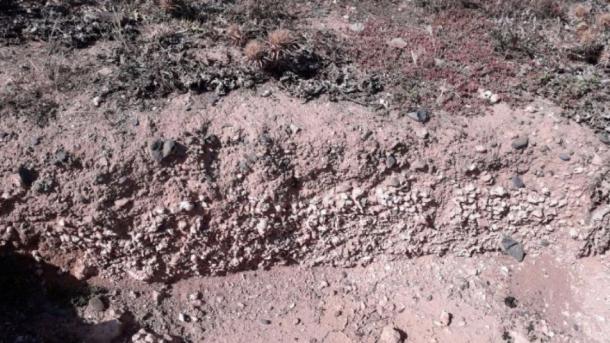 The excavation site of the Minoan showing the thousands of discarded snail shells (Greece Ministry of Culture and Sports)