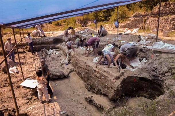 El sitio de excavación de Dmanisi ha atraído mucha atención por la gran cantidad de hallazgos realizados desde 1983, incluidos los restos de perros de caza más recientes. (Museo Nacional de Georgia / CC BY-SA 3.0)