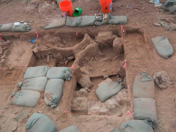 The excavation site where the New Mexico mammoth bones, mostly ribs and spine pieces, were discovered. The most prominent fossil is a portion of an adult mammoth skull. (Timothy Rowe / The University of Texas at Austin)