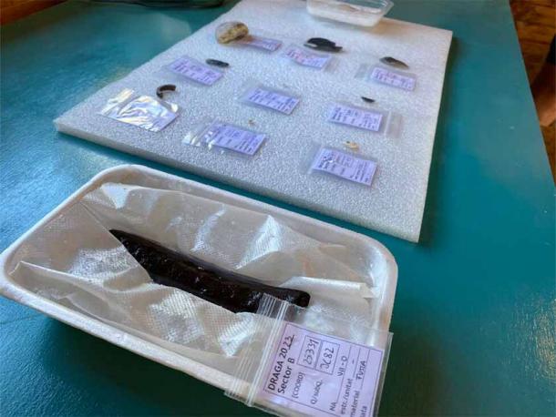 Items found during recent excavation work at the La Draga site (Banyoles). (Banyoles City Council/IPHES)