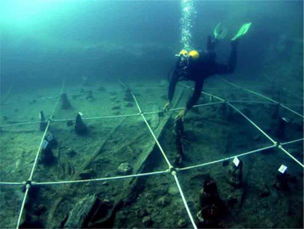 Excavation of one of the oldest Neolithic boats ever found, labeled Canoe 5. (Gibaja et al., 2024 / PLOS ONE / CC-BY 4.0)