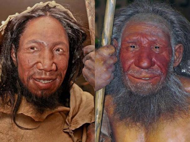Comparison of faces of Homo sapiens and Neanderthal