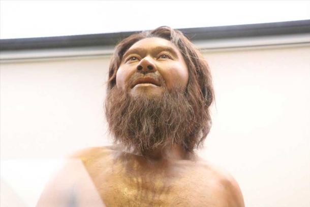 Reconstrucción en exhibición de un hombre de Minatogawa, Japón. (Mapa de Tsunagaru)