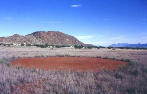 A fairy circle in Namibia. 