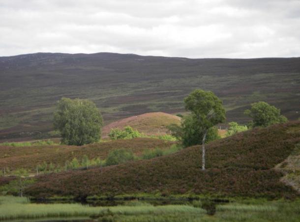 A man became ill after damaging a fairy hill, like the one pictured