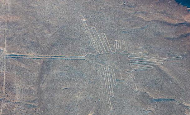 One of the famous Nazca lines near Cahuachi, featuring a hummingbird design (Diego Delsa / CC BY SA)