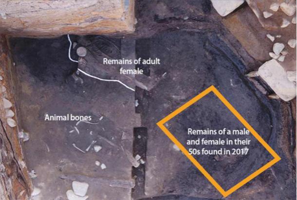 The remains of the adult female were discovered just 50 centimeters (1.64 feet) above the remains found in 2017. (Cultural Heritage Administration of Korea)