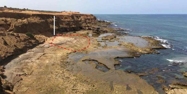 90‚000-Years-Old Footprints Discovered On Moroccan Beach