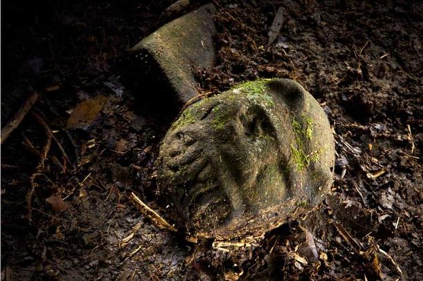Explorers of Lost City of the Monkey God Nearly Lose Faces to Parasite