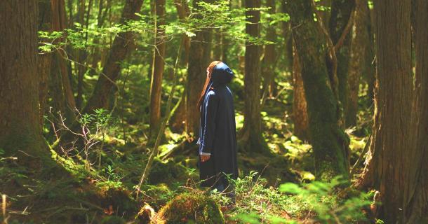 Aokigahara Forest, a.k.a. Suicide Forest, in Japan. Source: Satoshi881 / Adobe Stock