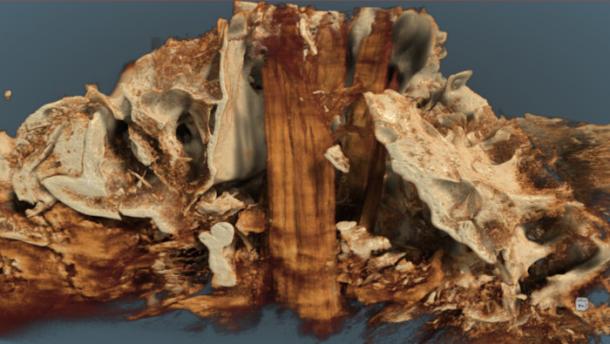 Aurochs skull with post remnants found in Germany.