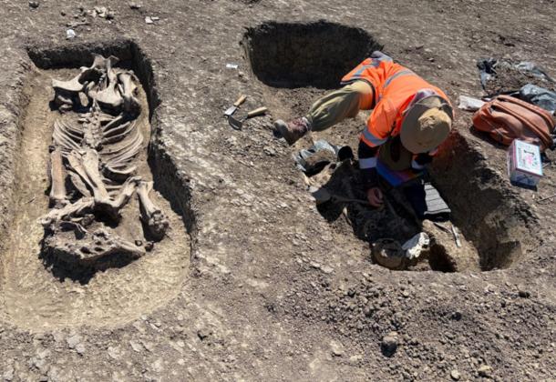 The 1,400-year-old Avar warrior and horse burial unearthed in Timișoara, Romania. 