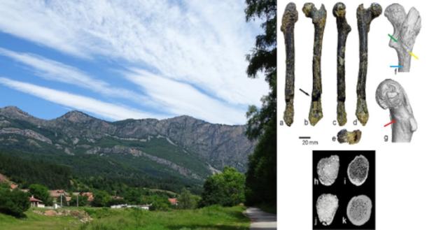 Scenery at Zgorigrad Village, Vrachanski Balkan National Park, Bulgaria. Right; images of the femur.