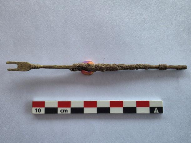 Rare Roman Surgical Instrument for Bladder Stone Removal Found