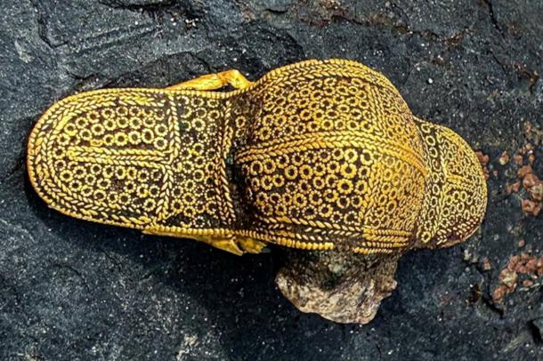 The elaborate1,500-year-old gold brooch discovered in Denmark