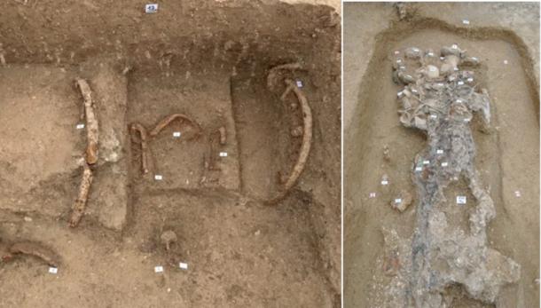 The princely chariot tomb at the center of the newly uncovered 6th-century BC Picene funerary complex near Sirolo