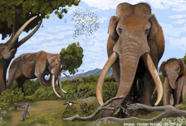 Artist's impression of straight-tusked elephants (Palaeoloxodon antiquus) in prehistoric Europe.