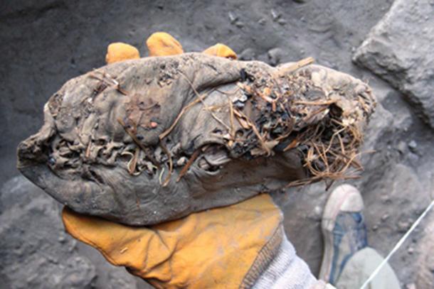 The Everlasting Shoe What Does This 5 500 Year old Shoe The Everlasting Shoe What Does This 5 500 Year old Shoe