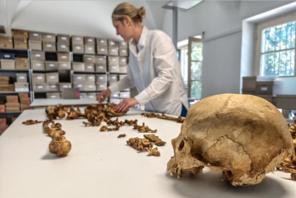 Genome Study Challenges Europe’s Origins Following the Roman Empire