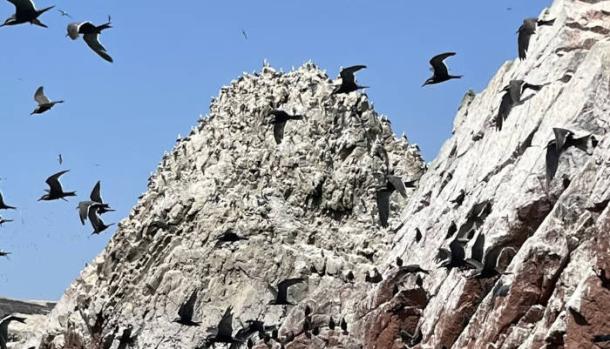 Island covered in guano produced by seabirds.