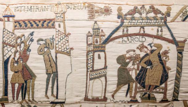Observers of Halley's Comet on the Bayeux Tapestry