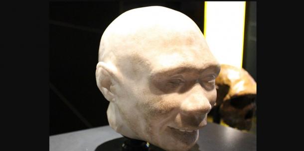 Homo antecessor extinction video