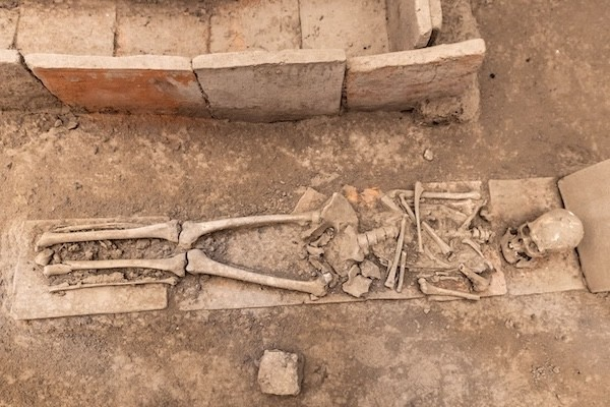 Human skeletal remains from an archaeological burial used in dietary inequality research