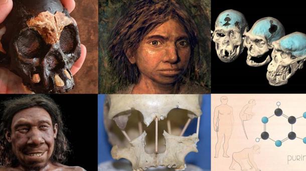 The Top 10 Human Evolution Discoveries in 2021. Source: Ancient Origins