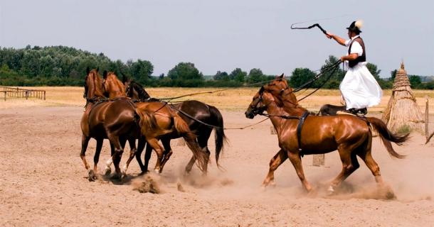 Csikós Hungarian horsemen. Source: Kavita / Adobe Stock.