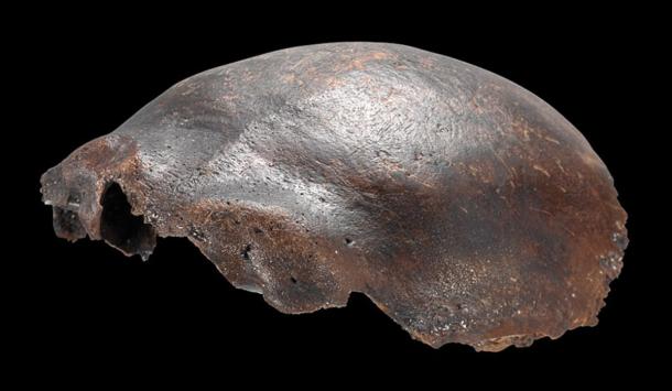 Side view of the Hahn&ouml;fersand frontal bone.