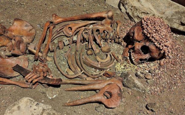 Il Principe (Gravettian adolescent) display at Museo di Archeologia Ligure, Genoa