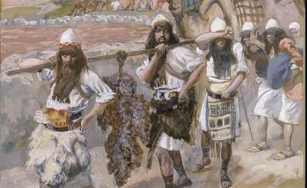 What Really Happened to the Canaanites? (Video)