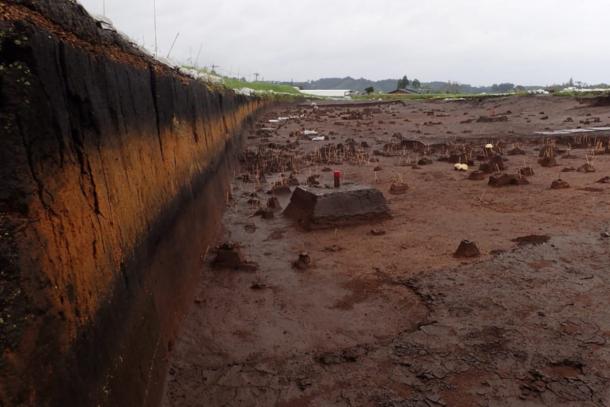 Kikai-Akahoya volcanic deposit in southern Kyushu, the &ldquo;disaster layer&rdquo; of volcanic ash that runs across the landscape