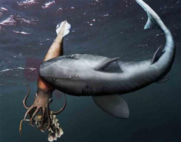 Epic Jurassic Era Fossil Shows a Predator in Action Being Preyed Upon
