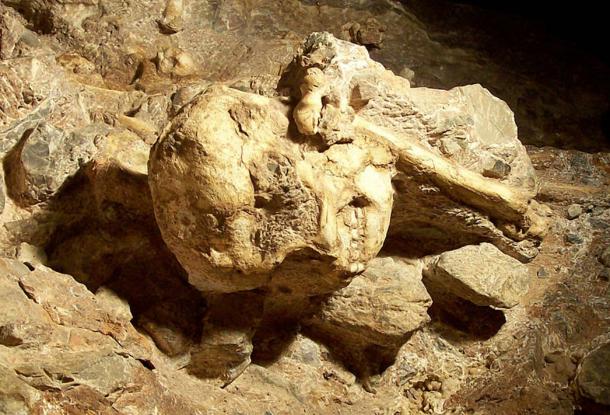Little Foot skull still in place in the Sterkfontein cave.
