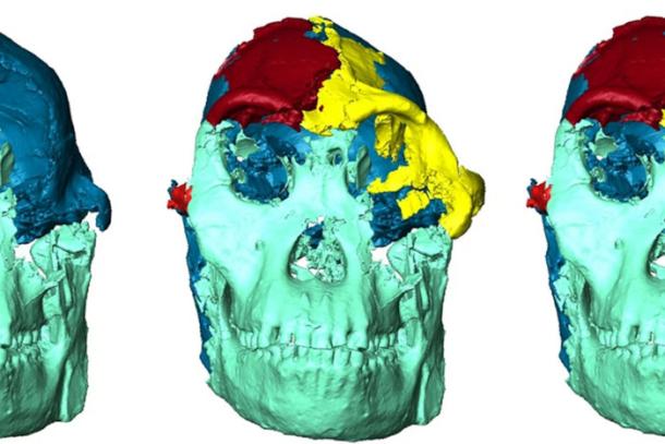 The different phases of the reconstruction of Little Foot&rsquo;s face.