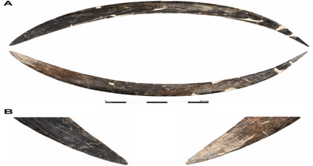 Mammoth ivory boomerang from Obłazowa Cave, Poland
