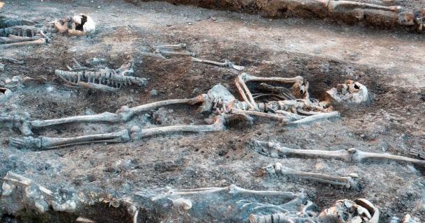 Skeletons in a mass grave. Source: EKH-Pictures / Adobe Stock.