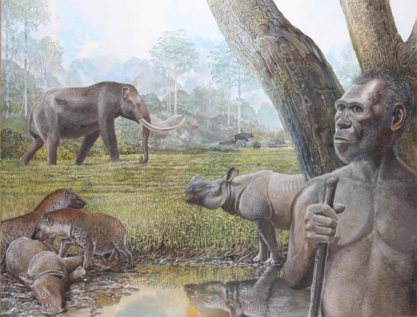 Artist’s reconstruction of a savannah in Middle Pleistocene Southeast Asia. In the foreground Homo erectus, stegodon, hyenas, and Asian rhinos are depicted. Water buffalo can be seen at the edge of a riparian forest in the background. Source: Peter Schouten / Nature