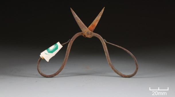 A pair of 600-year-old iron surgical tools (scissors and tweezers) from the tomb of Ming Dynasty physician Xia Quan.