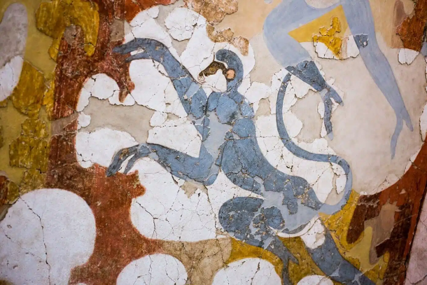 Monkeys depicted in the Bronze Age frescoes at Akrotiri, Santorini, may represent Indian langurs rather than an African species, according to recent research. 