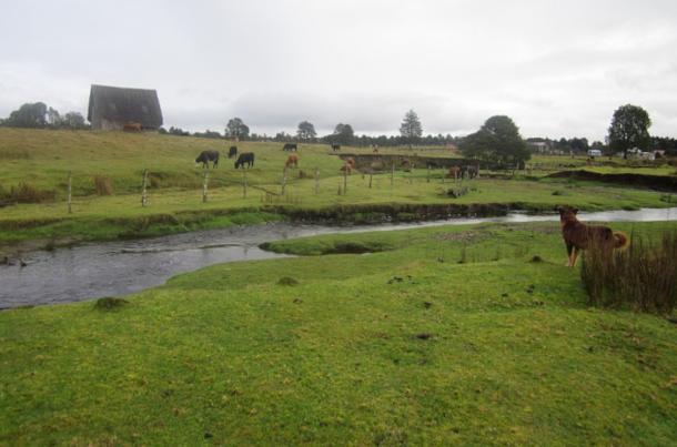 Monte Verde archaeological site, Chile.
