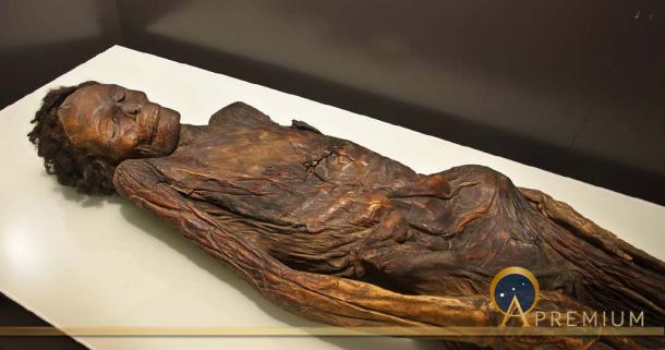 Famous Gaunches Mummies Drenched In Dragons’ Blood Like A Stradivarius Violin