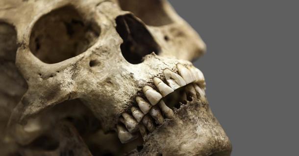 Study of Ancient Teeth Shows Single Native American Migration from Asia