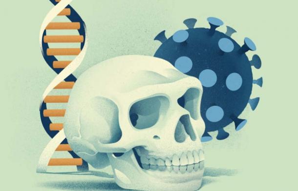 Do You Have the Good or Bad Covid-19 Neanderthal Genes?