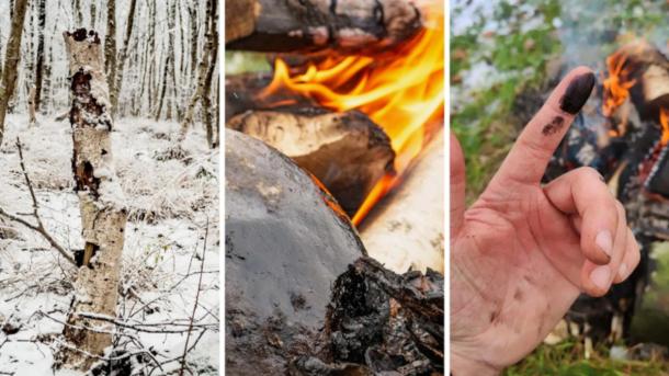 Researchers used methods that Neanderthals also used to produce birch tar.